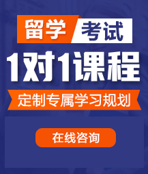 操啪操视频网站免费看留学考试一对一精品课